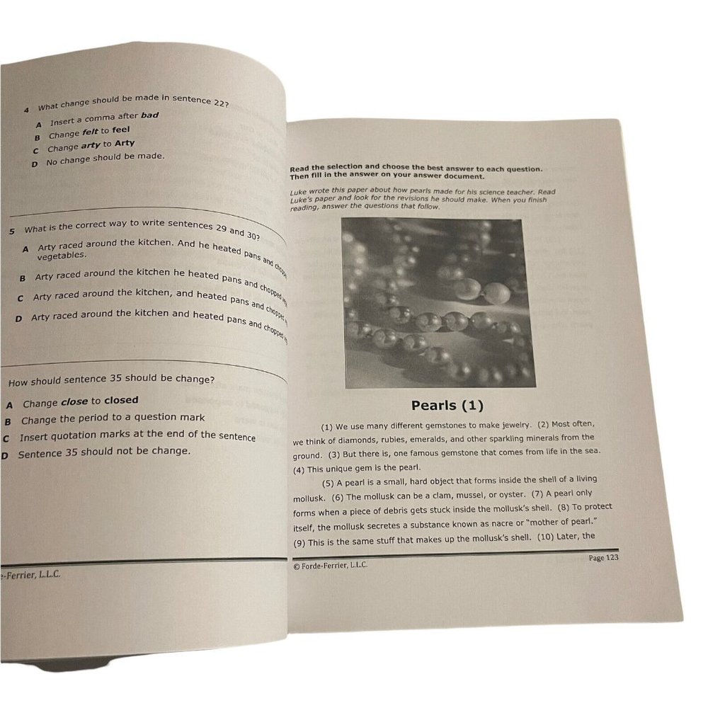 Mastery Write Writing Editing Revision Workbook Grade 3 Updated Mastery Method - Picture 6 of 6